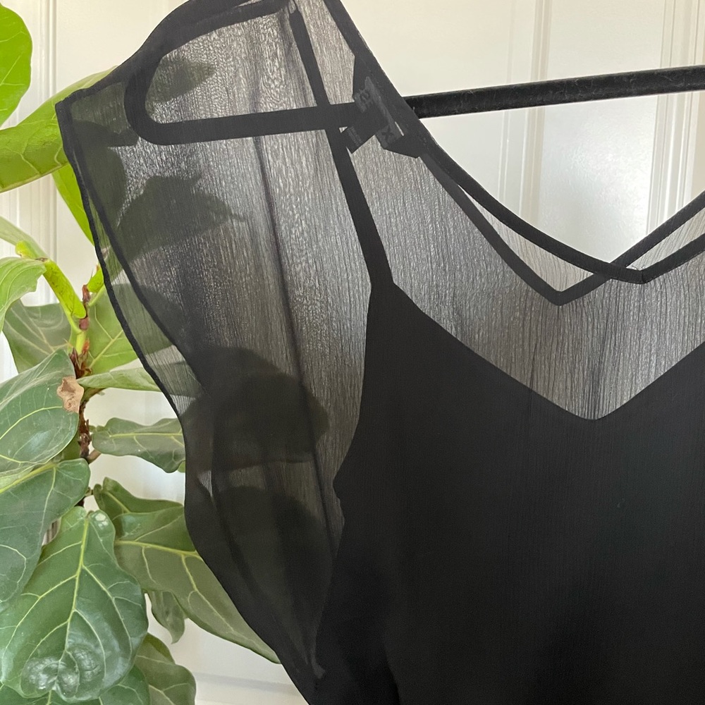 Express sheer dress